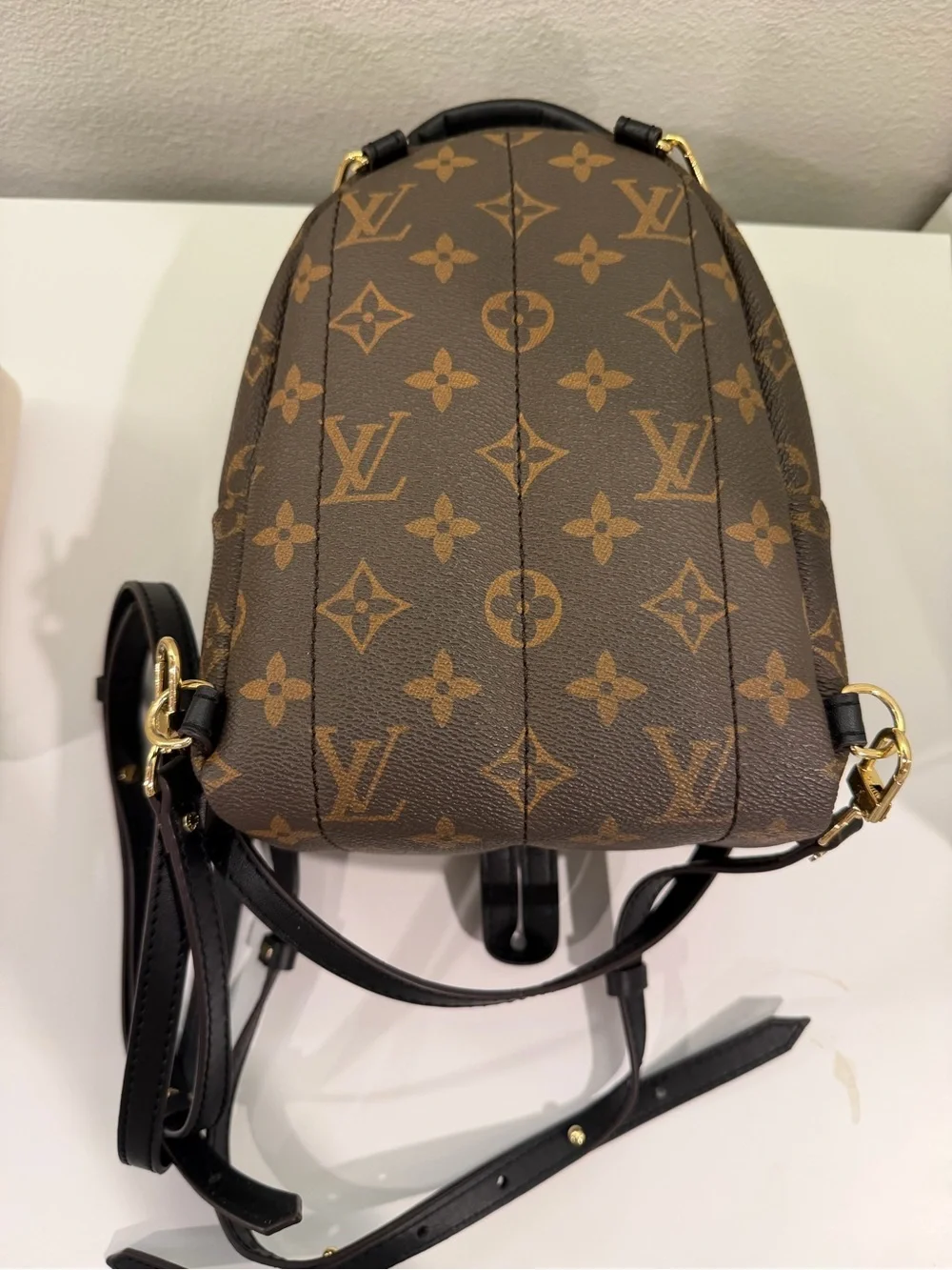 Louis Vuitton Monogram Mini palm Backpack